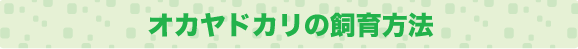 飼育方法タイトル