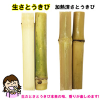 B級訳あり 沖縄県産 生さとうきび(サトウキビ) 食用 約25cm 2～4本入り×3