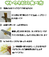 沖縄県産 生さとうきび(サトウキビ)食用　節無し