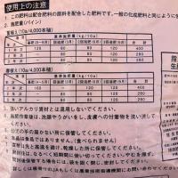 パイン新1号20kg(パイナップル肥料) 