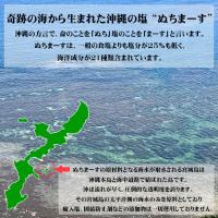 ぬちまーす　111g　|沖縄 お土産 塩 海塩 ミネラル にがり