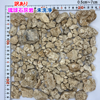 訳あり　琉球石灰岩　未洗浄　小粒タイプ　0.5cm～7cm　1kg