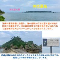 【送料無料】沖縄 浜比嘉島の天然海水　2L×6本(12L)