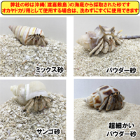 オカヤドカリ飼育セット　サンゴ砂10kg・海水500ml×2・サトウキビ