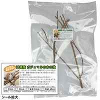 がじゅまる(ガジュマル)の木の枝　35cm×2本