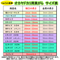 セレクト(リュウテンサザエ)　LLサイズ　小さめ　オカヤドカリ用貝がら