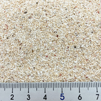 沖縄　海アート砂　100g