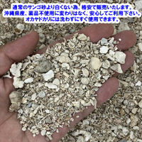 【B級品】安心安全　国内産　沖縄の砂　サンゴ砂　1kg