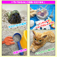 安心安全　国内産　沖縄の砂　[B級品]サンゴ砂　1kg×10パック(10kg)