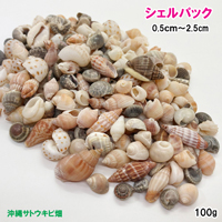 3点セット　琉球ガラスカレット100g&シェルパック100g&星の砂100g