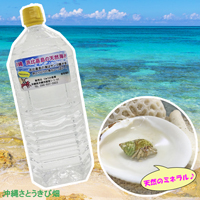 沖縄 浜比嘉島の天然海水 2L