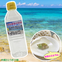 沖縄　浜比嘉島の天然海水　500ml