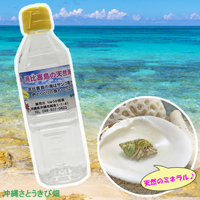 オカヤドカリ飼育セット　サンゴ砂10kg・海水500ml×2・サトウキビ