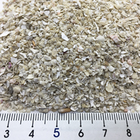 オカヤドカリ飼育セット　サンゴ砂10kg・海水500ml×2・サトウキビ