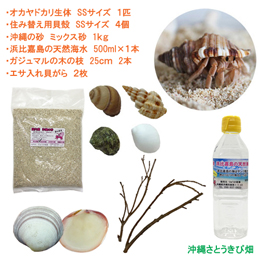 飼育セット　SSサイズ(生体×1匹・貝殻・砂×1袋・海水×1・二枚貝×2枚・木の枝×2本)