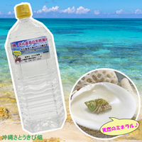 オカヤドカリ飼育セット　サンゴ砂10kg・海水2L・サトウキビ・改善液1L