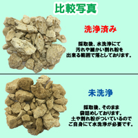 琉球石灰岩　洗浄済み　小粒タイプ　2cm～4cm　300g