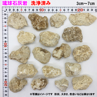 琉球石灰岩　洗浄済み　小粒タイプ　3cm～7cm　800g