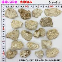 琉球石灰岩　洗浄済み　小粒タイプ　3cm～6cm　800g