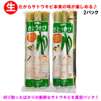 沖縄県産 生さとうきび400g×2パックとサトウキビの搾り汁だけで作った黒糖200g セット