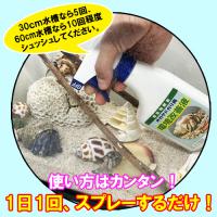 【送料無料】オカヤドカリ用環境改善液330cc&沖縄浜比嘉島の天然海水500ml