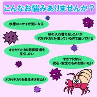 【送料無料】オカヤドカリ用　環境改善液 1L&海水 2L セット