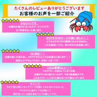 微生物酵素　オカヤドカリ用 環境改善液 詰め替え用(1L)