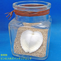 【訳あり】チョイ割れ　天然ハート貝の貝殻(貝がら)