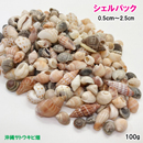 シェルパック　小さな貝がら(0.5cm～2.5cm)　100g