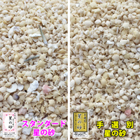 沖縄 石垣島 星の砂(星砂) 1kg 業務用 大量販売