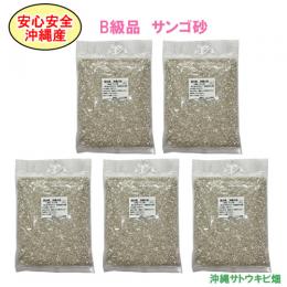 安心安全　国内産　沖縄の砂　[B級品]サンゴ砂　1kg×5パック(5kg)