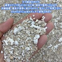 【B級品】安心安全　国内産　沖縄の砂　サンゴ砂　1kg