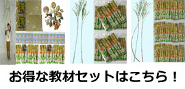 お得な教材用さとうきびセット
