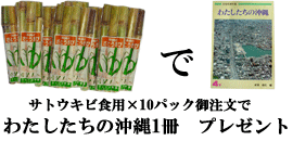 お得な教材用さとうきびセット