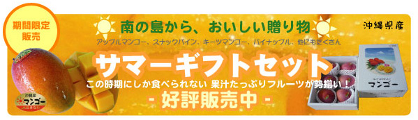 2009ギフトセット