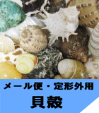 メール便、定形外用貝殻