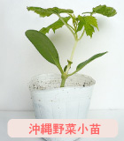 葉