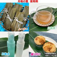 沖縄産　月桃の葉100g　(カット済み) 
