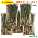 自社農園栽培　沖縄県産　島らっきょう　500g