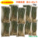 自社農園栽培　沖縄県産　島らっきょう　1kg