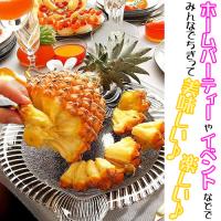 スナックパイン苗(ボゴール苗)ポット苗【パイナップル】×5鉢