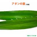 アダンの生葉 (10枚入)　|草編み 葉編み かご編み 指ハブ 民具 アダン葉編み アダン葉